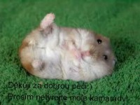/album/vtipne-obrazky-/krecek-5-jpg/