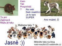 /album/reklama/mailwebnode-jpg1/